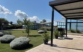 Olivos del Solar